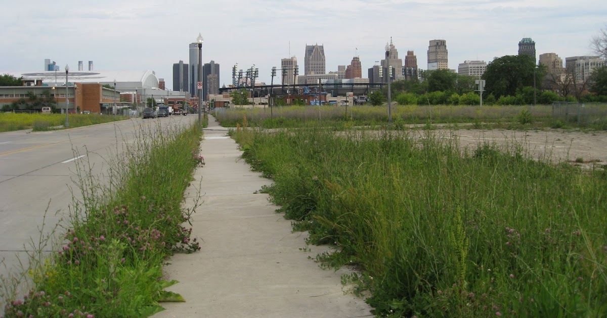 Seed Detroit Urban Prairie growing in Brush Park...